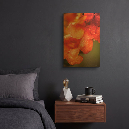 'Orange Glory' By Donnie Quillen Gold Metal Wall Art