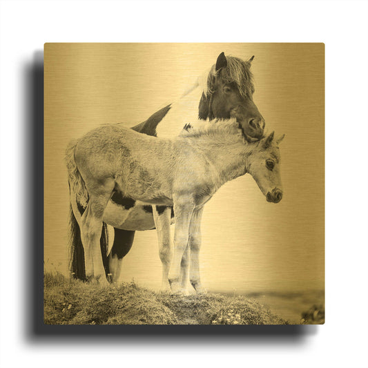 'BandW Horses I' By PH Burchett Gold Metal Wall Art