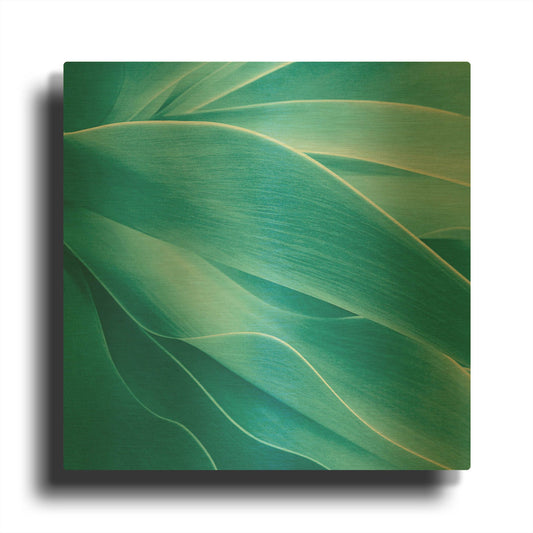 'Succulent' By Jan Bell Gold Metal Wall Art