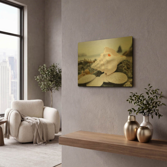 'Crescent Beach Shells 11' By Alan Blaustein Gold Metal Wall Art