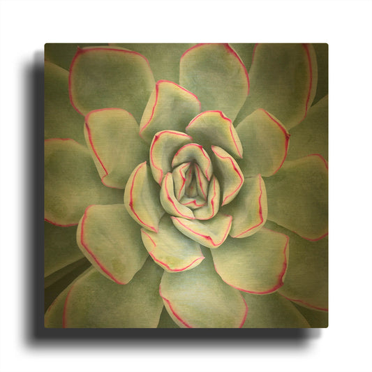 'Edged in Red' By Jan Bell Gold Metal Wall Art