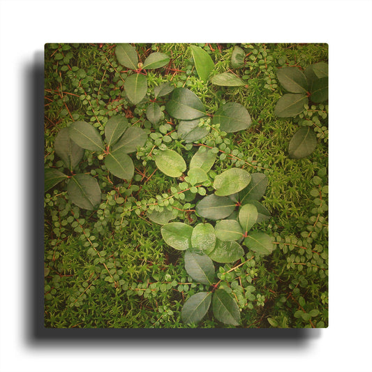 'Forest Floor Detail' By Jan Bell Gold Metal Wall Art