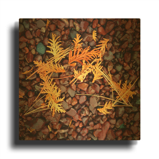 'Brown Pebbles with Cedar' By Jan Bell Gold Metal Wall Art