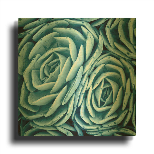 'Nestled Succulents' By Jan Bell Gold Metal Wall Art