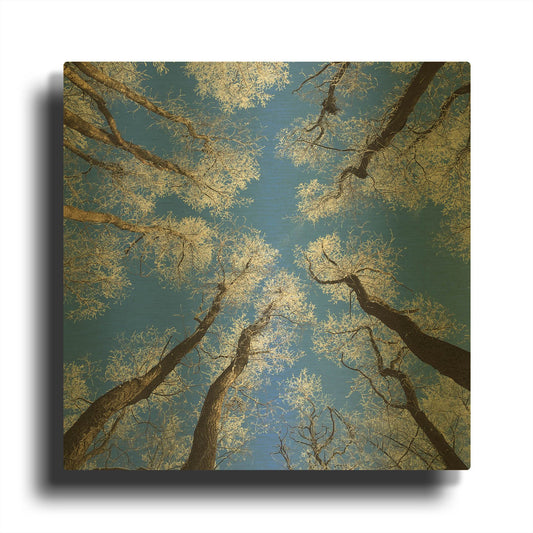 'Reaching Skyward' By Jan Bell Gold Metal Wall Art