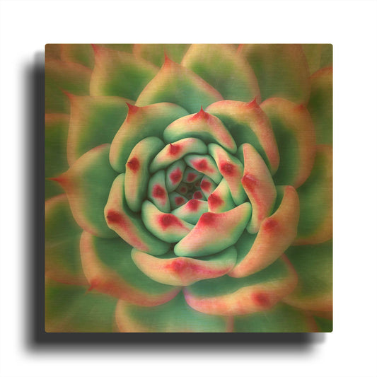 'Deep Red Tips' By Jan Bell Gold Metal Wall Art