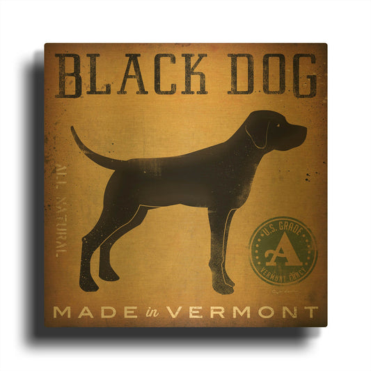 'Black Dog At Show V2' By Ryan Fowler Gold Metal Wall Art