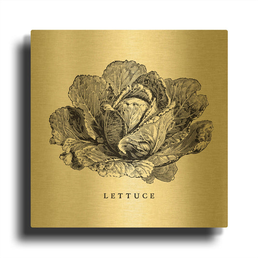 'Linen Vegetable BW Sketch Lettuce' By Studio Mousseau Gold Metal Wall Art