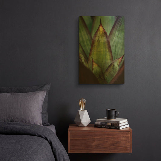 'Succulent Detail II' By Elise Catterall Gold Metal Wall Art