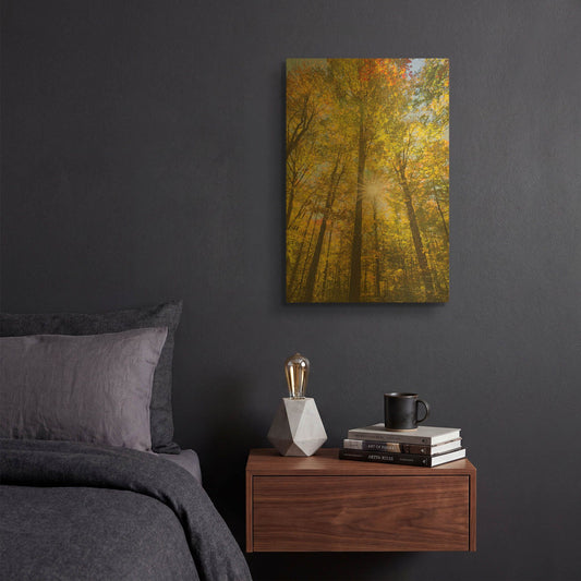 'Autumn Foliage Sunburst III' By Alan Majchrowicz Gold Metal Wall Art