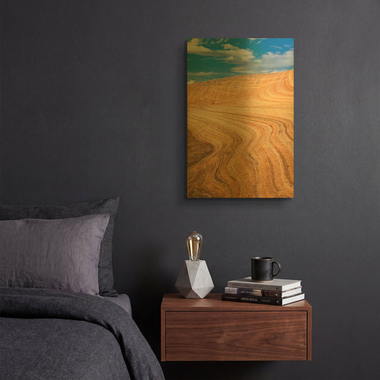 'Coyote Buttes V' By Alan Majchrowicz Gold Metal Wall Art