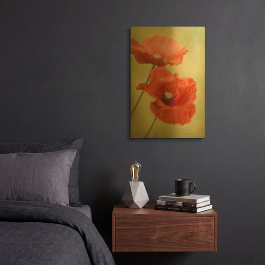 'Papaver Passion' By Mandy Disher Gold Metal Wall Art
