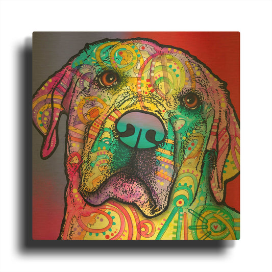 'Starry Lab' By Dean Russo Gold Metal Wall Art