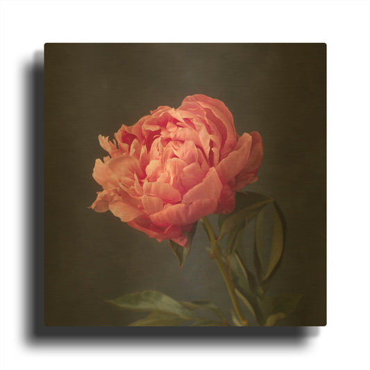 'Perfectly Pink' By Leah McLean Gold Metal Wall Art
