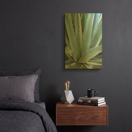 'Blue Agave' By Alana Clumeck Gold Metal Wall Art