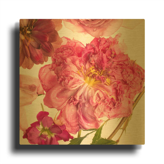 'Peony Dream on White' By Leah McLean Gold Metal Wall Art