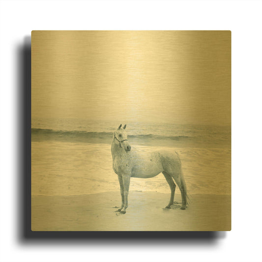 'Carly At The Beach' By Susan Friedman Gold Metal Wall Art