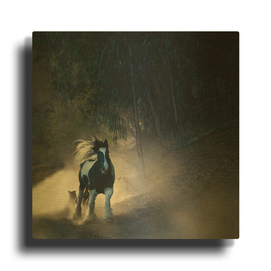 'Felina 1' By Susan Friedman Gold Metal Wall Art