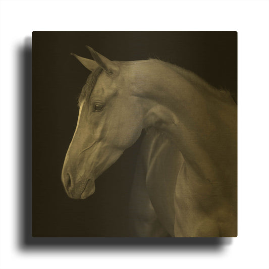 'Jack BW' By Susan Friedman Gold Metal Wall Art
