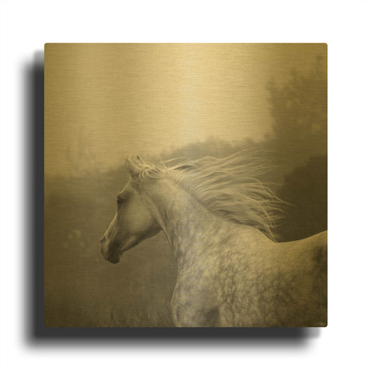 'Shira Runs' By Susan Friedman Gold Metal Wall Art