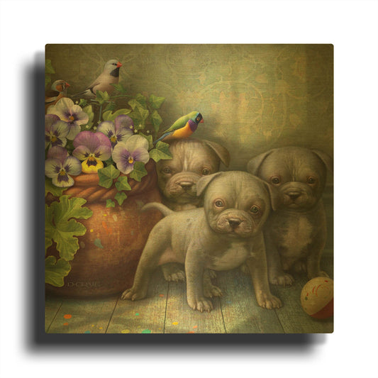 'Pit Bull Pups' By Dan Craig Gold Metal Wall Art