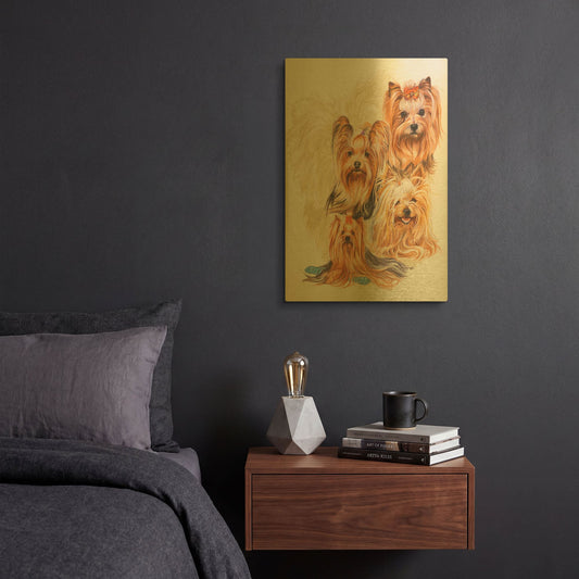 'Yorkshire Terrier' By Barbara Keith Gold Metal Wall Art