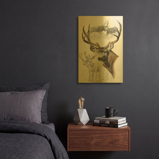 'Mule Deer' By Barbara Keith Gold Metal Wall Art