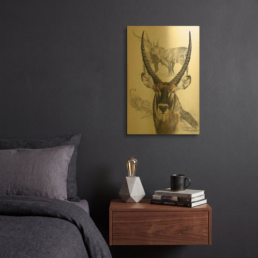 'Waterbuck' By Barbara Keith Gold Metal Wall Art