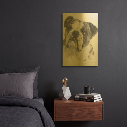 'American Bulldog' By Barbara Keith Gold Metal Wall Art
