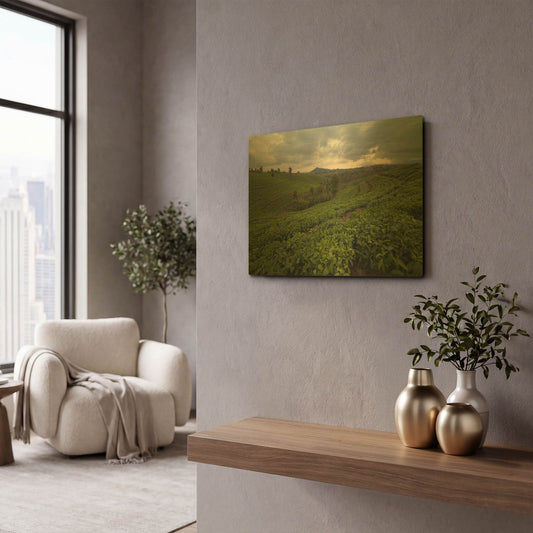 'Burundi Tea Field' By Joe Reimer Photography Gold Metal Wall Art