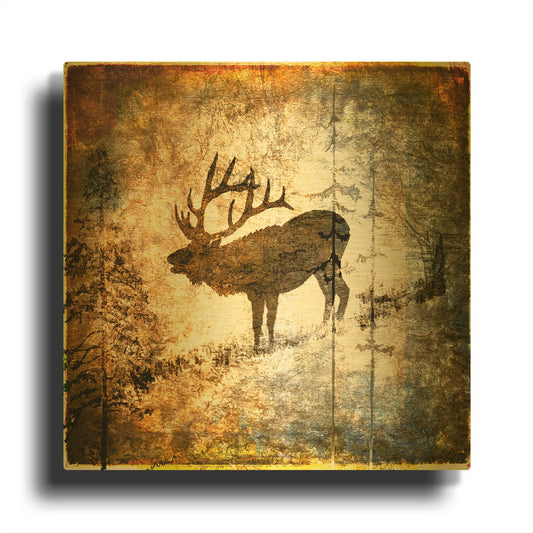 'High Country Elk' By Lightbox Journal Gold Metal Wall Art