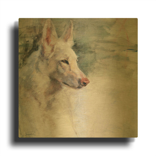 'White Shepherd Wonder' By Robert Campbell Gold Metal Wall Art