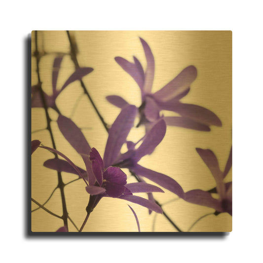 'Purple Blossom 1' By PhotoINC Studio Gold Metal Wall Art
