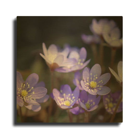'Purple Flowers 1' By PhotoINC Studio Gold Metal Wall Art