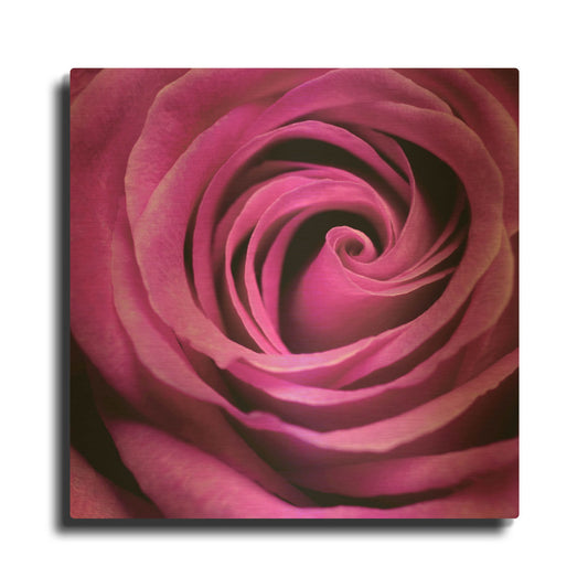 'Purple Rose' By PhotoINC Studio Gold Metal Wall Art