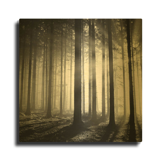 'Wood Light' By PhotoINC Studio Gold Metal Wall Art