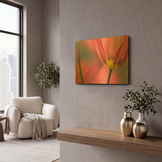 'Tulipa Planifolia' By Cora Niele Gold Metal Wall Art
