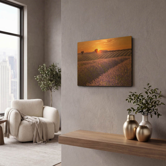 'Lavender Field at Sunset' By Cora Niele Gold Metal Wall Art