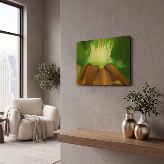 'Golden Water Lilly' By Dana Brett Munach Gold Metal Wall Art