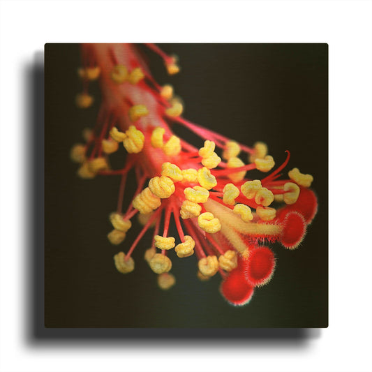 'Pistol' By Dana Brett Munach Gold Metal Wall Art