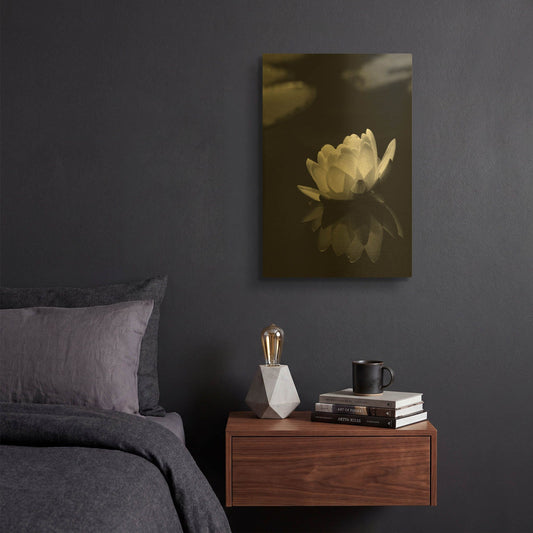 'Water Lily BW' By Istvan Nagy Gold Metal Wall Art