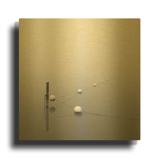 'Suspension' By Nicholas Bell Photography Gold Metal Wall Art