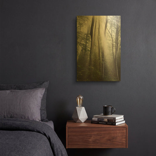 'Woodland Sun' By Nicholas Bell Photography Gold Metal Wall Art