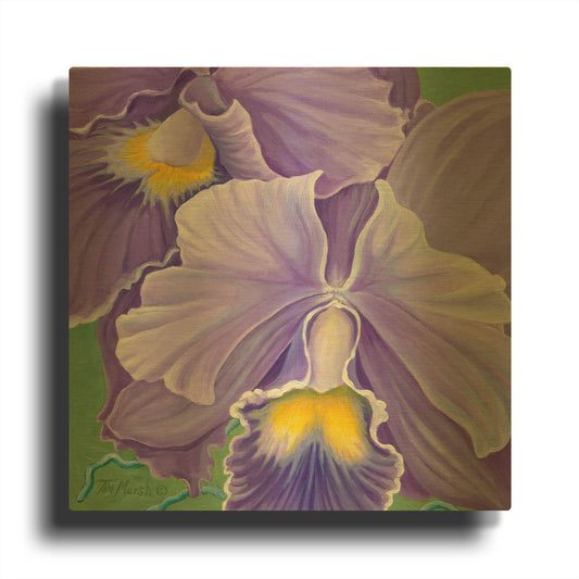 'Orchid Series 3' By Tim Marsh Gold Metal Wall Art