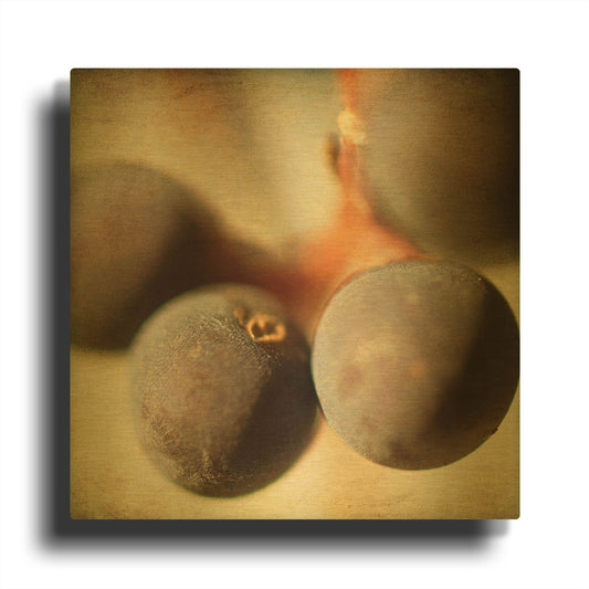 'Berries 5' By Jessica Rogers Gold Metal Wall Art