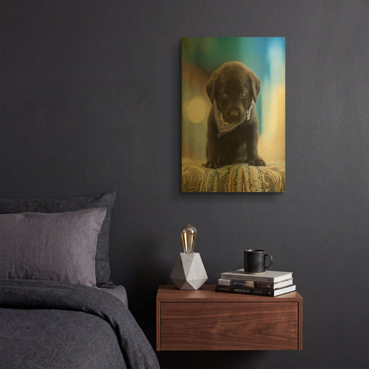 'Black Lab Pup 12' By Jonathan Ross Gold Metal Wall Art