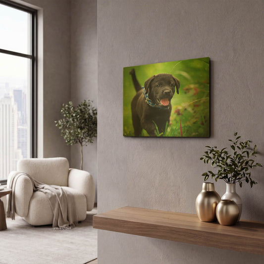 'Black Lab Pup 15' By Jonathan Ross Gold Metal Wall Art