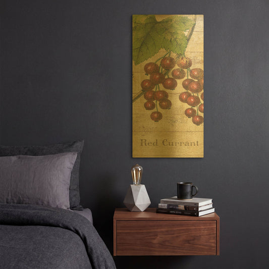 'Country Fruits II' By NBL Studio Gold Metal Wall Art