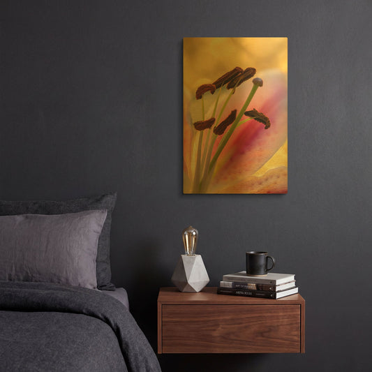 'Lily Anthers' By Pamela Plummer Gold Metal Wall Art
