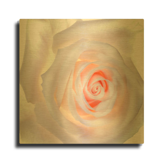 'Love Is A Pink Rose' By Pamela Plummer Gold Metal Wall Art